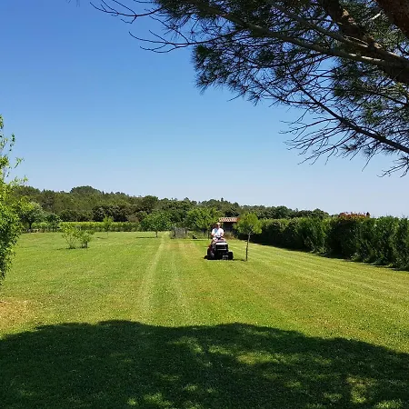 A L'ombre D'un Olivier Gite Carignan * Montaud (Herault)